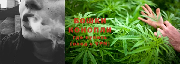 дживик Корсаков