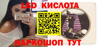 стаф Бердск