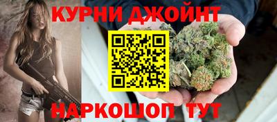 стаф Бердск