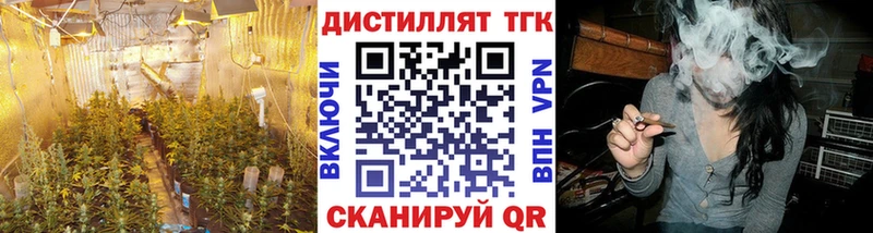 купить закладку  Усть-Лабинск  ТГК THC oil 