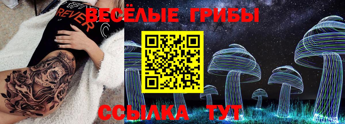 как найти   Псилоцибиновые грибы GOLDEN TEACHER  Вход с VPN  Усть-Лабинск  Псилоцибиновые грибы мицелий 
