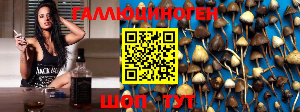 Галлюциногенные грибы прущие грибы Усть-Лабинск